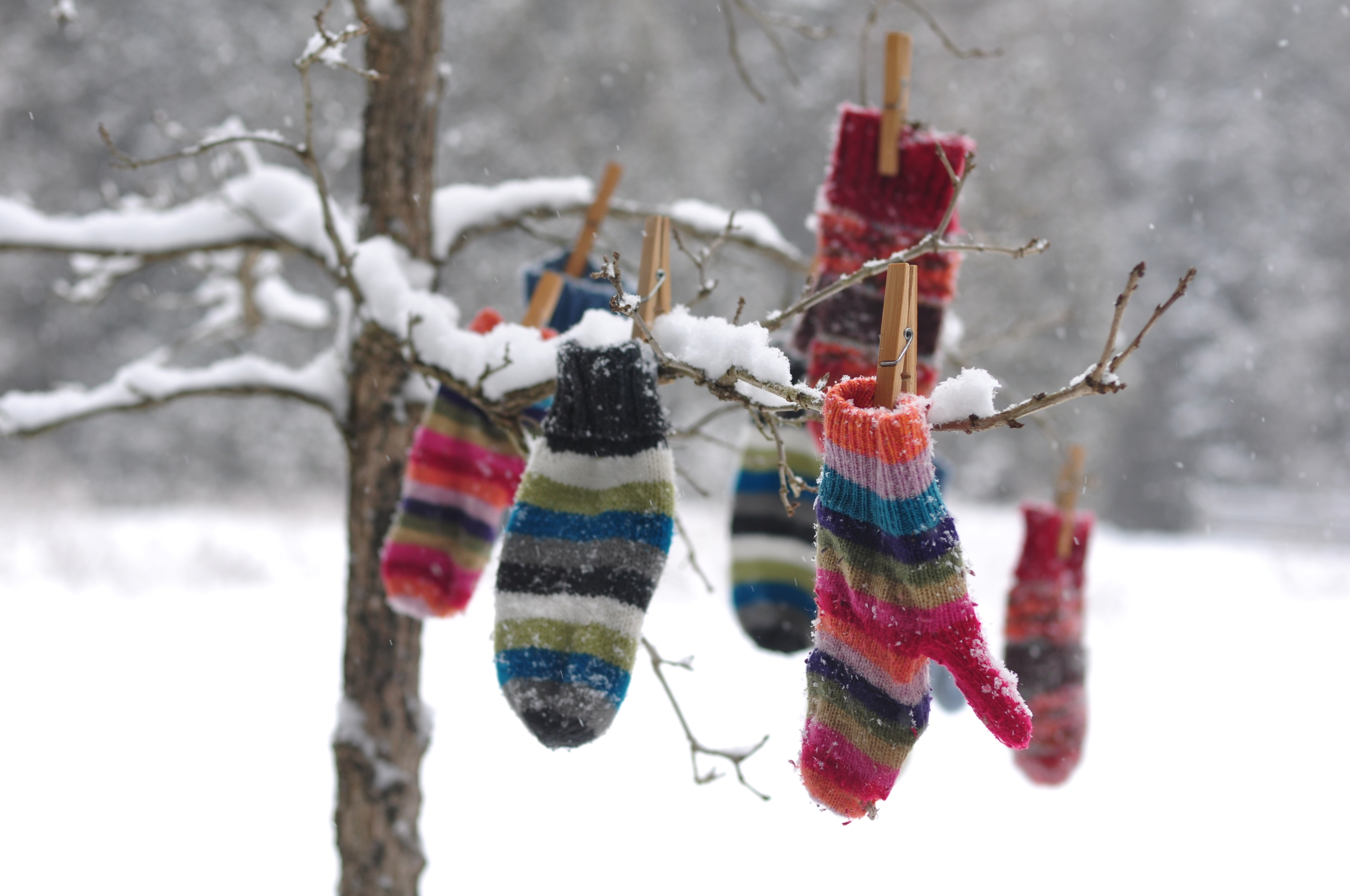Striped knitted mittens clothes pinned to a snowy tree