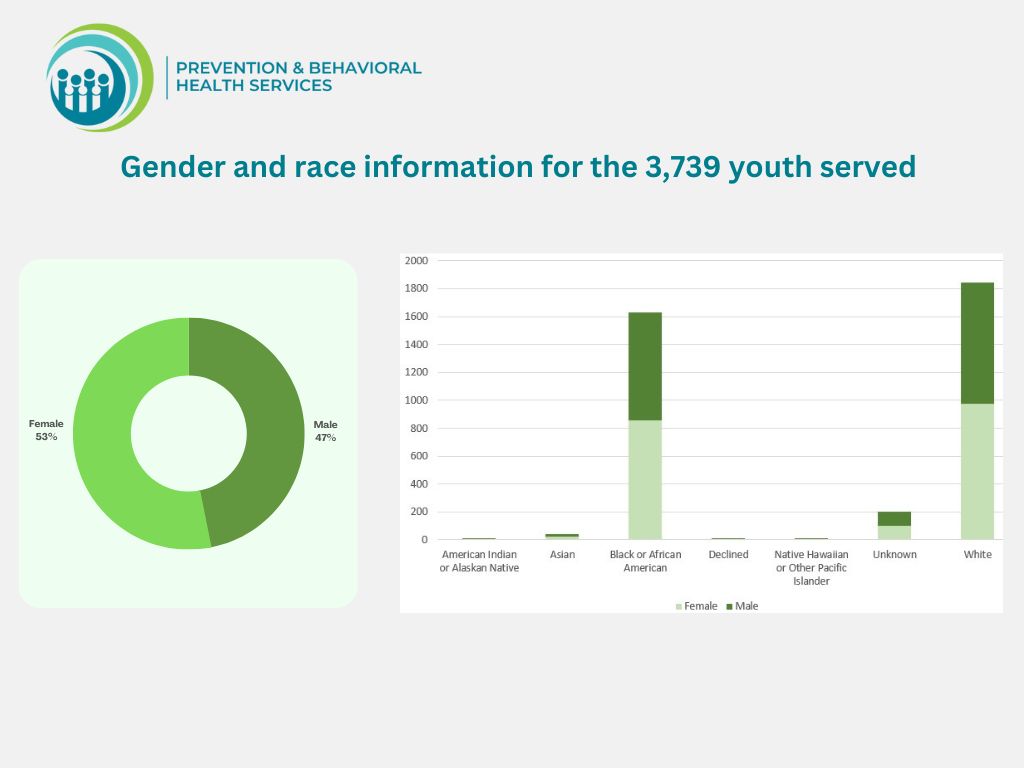 Gender and race information for 3,739 youth served