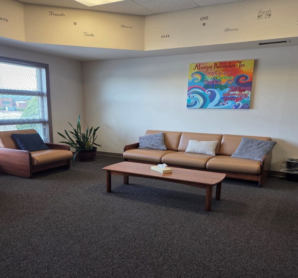 Silver Lake Treatment family room 1