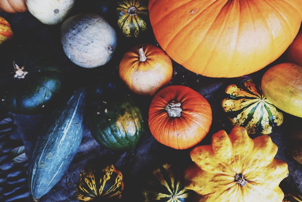 Variety of pumpkins and squash on dark surface shot from above
